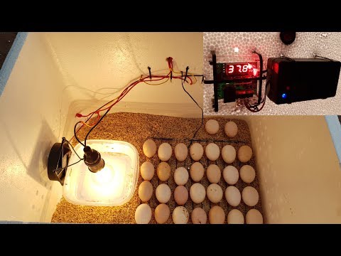 How To Make A Hatching Egg Incubator At Home