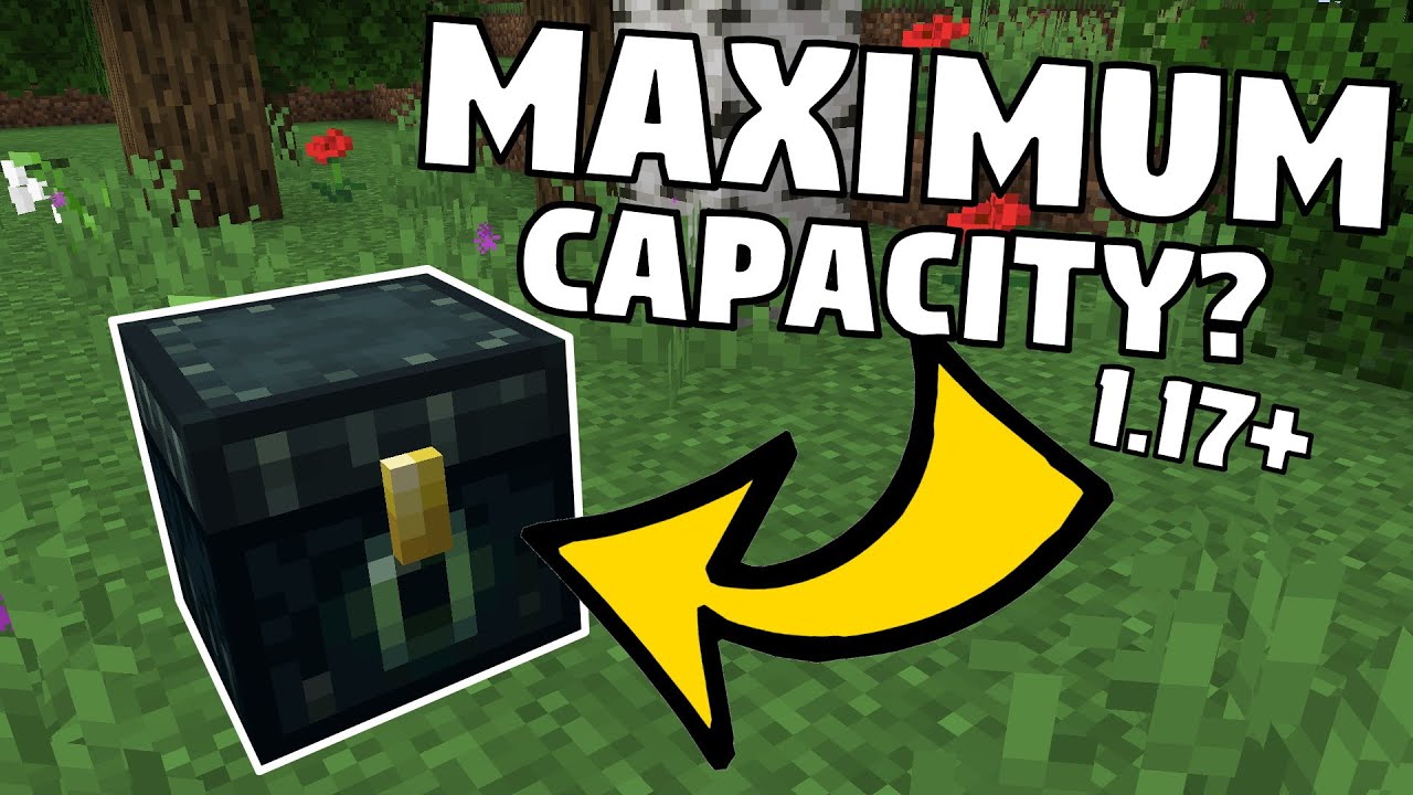 How Many DIFFERENT ITEMS Can You Fit in an ENDER CHEST? (As of 1.17