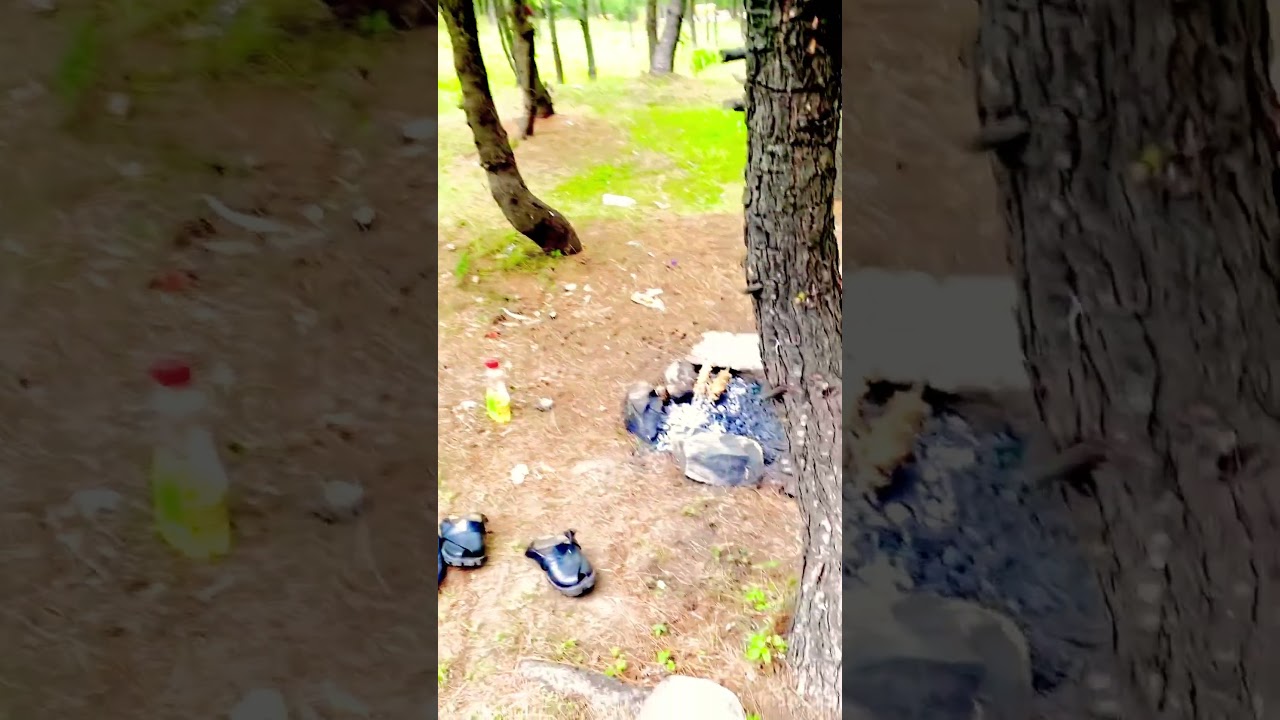 Shogran Top – Beautiful Naran Valley Views & Jeep Track Adventure