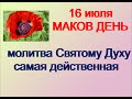 16 июля- МАКОВЫЙ ДЕНЬ.Чтобы покойники не являлись во сне.Приметы