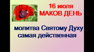 16 июля- МАКОВЫЙ ДЕНЬ.Чтобы покойники не являлись во сне.Приметы