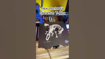 Flexi skeleton T-Rex #3dprinting #klipper #flexi #dinasour