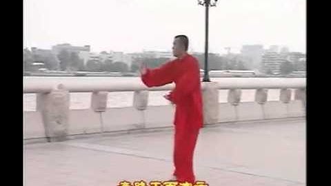 Fu style Yin Bagua Zhang 傅式八卦掌 陰八卦掌