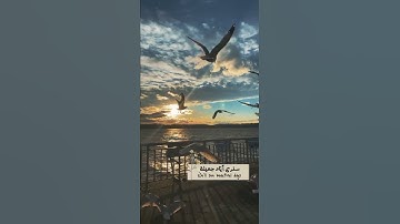 بعيداً عن ضجيج الحياة | تلاوه هادئه للقارئ عبد الرحمن مسعد ^^