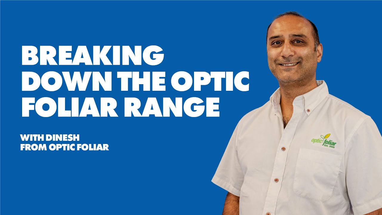 Оптический диапазон листвы | Интервью