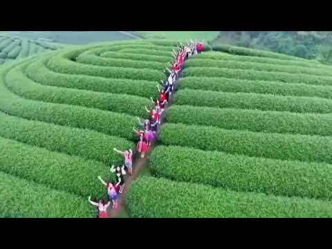 phong cảnh tây bắc New Nhạc Hay Cảnh Đẹp Tây Bắc Mộc Châu