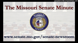 The Missouri Senate Minute for March 15: SB 10 and HB 251