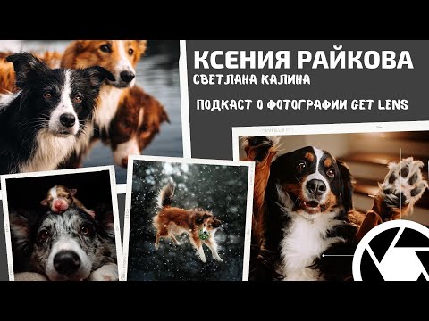 Видео: Одна попытка фотографа сделать самые глупые собачьи портреты. КЛАССНО!