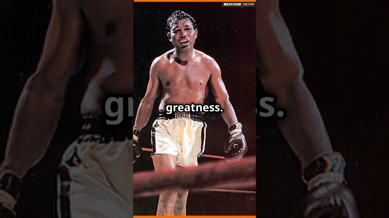 Greatest Boxer ever? Sugar Ray Robinson  