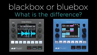 Blackbox vs Bluebox. What is the difference?
