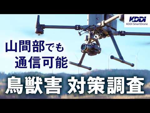 【上空LTEで通信確保】山間部の鳥獣害対策調査にドローンを活用| KDDIスマートドローン × ウインディーネットワーク