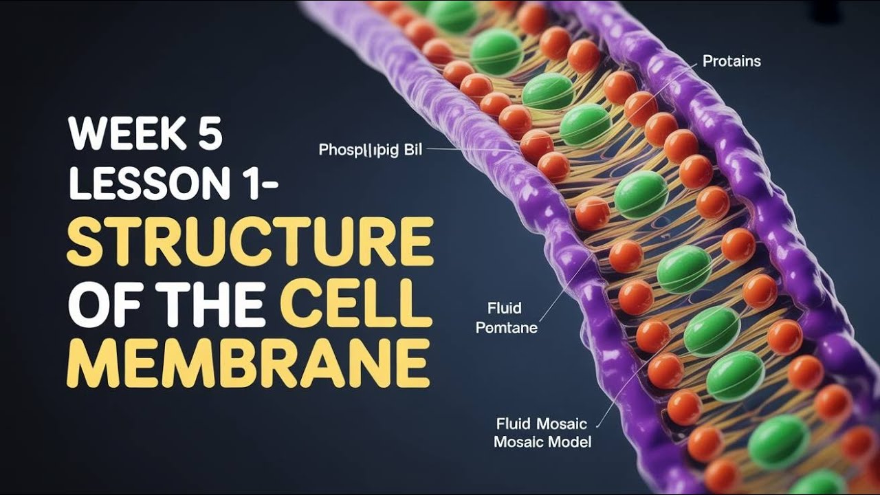 CELL BIOLOGY - INTRODUCTION TO THE STRUCTURE OF THE CELL MEMBRANE ...