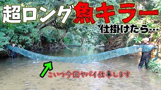 【#1】外来種ワールドの川に罠を仕掛けて伝説の龍を捕まえろ！【龍伝説】
