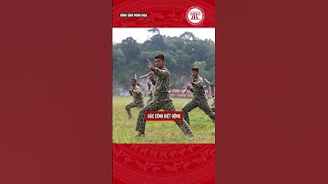 Binh Chủng Đặc Công Là Lực Lượng Gì? | THƯ VIỆN PHÁP LUẬT