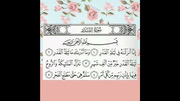 تلاوة سورة القدر - بصوت الشيخ هاني الرفاعي 🤍