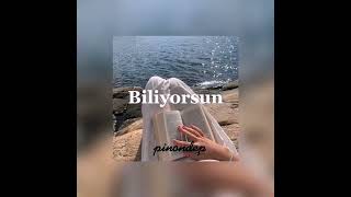 Biliyorsun - Sezen Aksu (sped up) Resimi