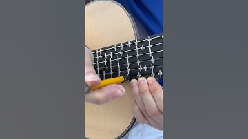 Microtonal chromatic scale & natural E and A chords by Teresa Jimenez