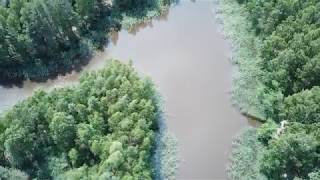 Oborniki Śląskie - Osolin - Bagno - (DJI Mavic Pro, 4K)