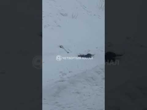Мальчик провалился под