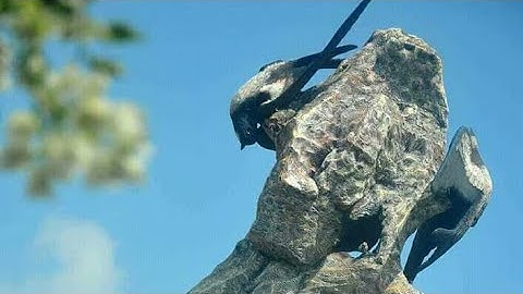 Tutorial cara membuat Siluet ,mudah ,cepat ,menggunakan aplikasi infinite design android