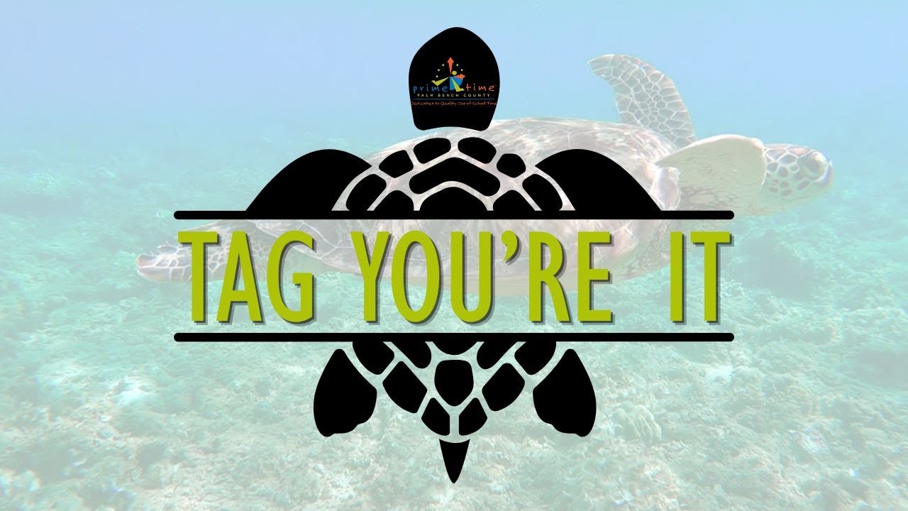 Bring Sea Turtle Education to Your OST Program - YouTube