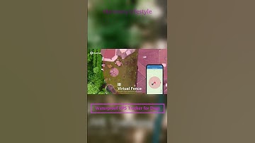 Waterproof GPS Tracker for Dogs