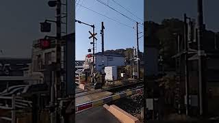 今朝の105系の黄色い列車　２両編成　福山駅→府中駅行　福塩線　2022.11.9