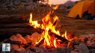 Campfire Close-up Relaxing Fireplace Sounds Burning Fireplace Crackling Fire Sounds NO MUSIC