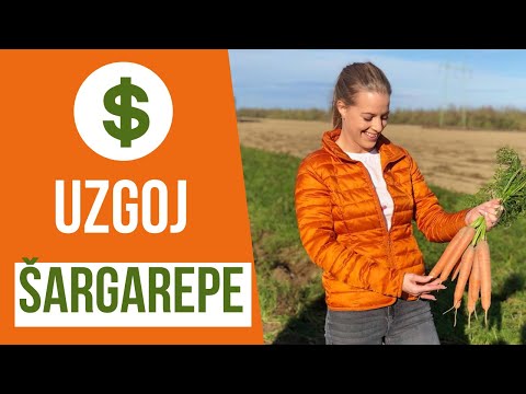 Video: Uzgoj šargarepe