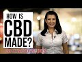 How is CBD Made? The Best CBD Extraction Methods