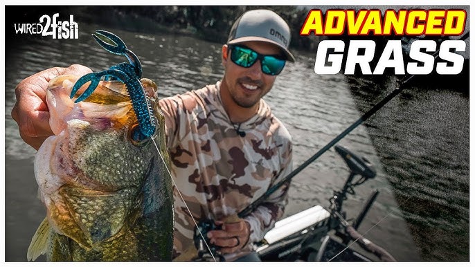 Hunter Shryock's Top 3 Flipping and Pitching Baits 