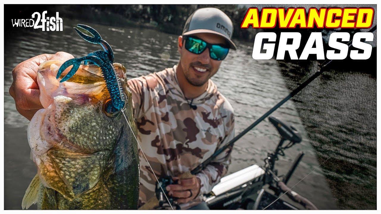 How to Catch Bass  Easy Bass Fishing Tips - Wired2Fish