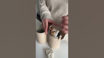 How I store my calligraphy supplies #shorts