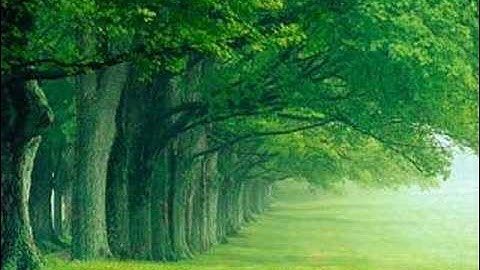 سورة الشمس للشيخ محمود خليل الحصري ,المصحف المعلم