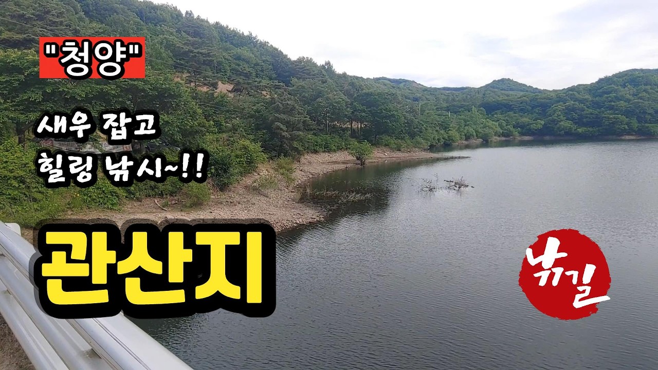 [청양]_ 관산지 / 새우 잡으며 힐링 낚시 하는 곳~