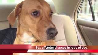 Teen Girl Raped By Dog