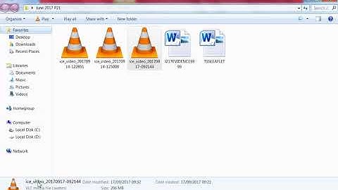 IGCSE ICT May/June 2017 Paper 21 Part 4