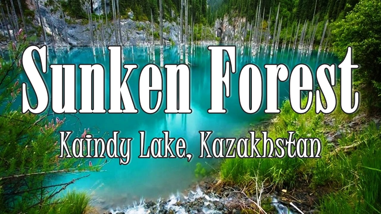 Kaindy – Sunken Forest in Kazakhstan