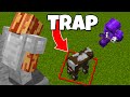 I Created the DUMBEST Traps on this Minecraft SMP...
