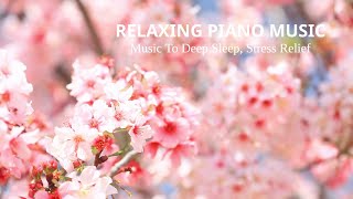 Relax on the Sofa: Relaxing Piano Music and Water Sounds for Sleep, Meditation, Spa & Yoga