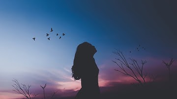 1 Hour of Beautiful Relaxing Music - Harp, Flute, Piano & Strings for Sleep, Meditation, Studying