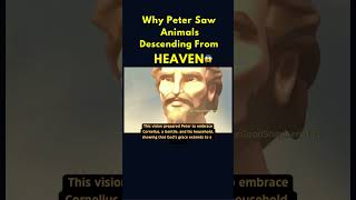 Why PETER Saw Animals Descending From HEAVEN 😱🤯 #shorts #youtubeshorts #catholic #vision  #fypシ