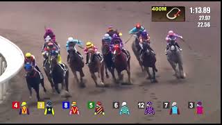 HK horse racing at Shatin: Race 1 -09/11/2024@UncleDaweChannel