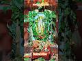 🙏#hanuman #god #hanumanjayanti #pray #festival #blessings #temple #worship #youtubeshorts #trending
