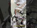 Automatic Freeze Dried Food Dog Cat Turtle Fish Rabbit Pet Food Pouch Doypack Packaging Machine