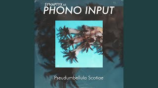 Pseudumbellula Scotiae