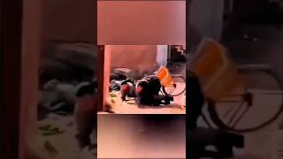 15 Funniest Moments That Went Wrong 😂🤣 #fails #funny #funnyfails #failscompilation #failsoftheweek