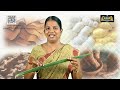 வகுப்பு 2| சூழ்நிலையில் | நம்மை சுற்றியுள்ள பொருள்கள்