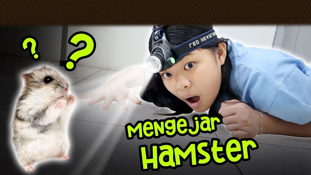 MISI PENYELAMATAN HAMSTER YANG HILANG !! TERNYATA DITEMUKAN DI SINI !! Drama Lucu | CnX Adventurers