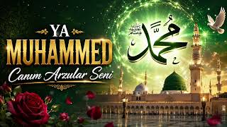 Ya MUHAMMED Canım Arzular Seni - TurkaAudio Official 